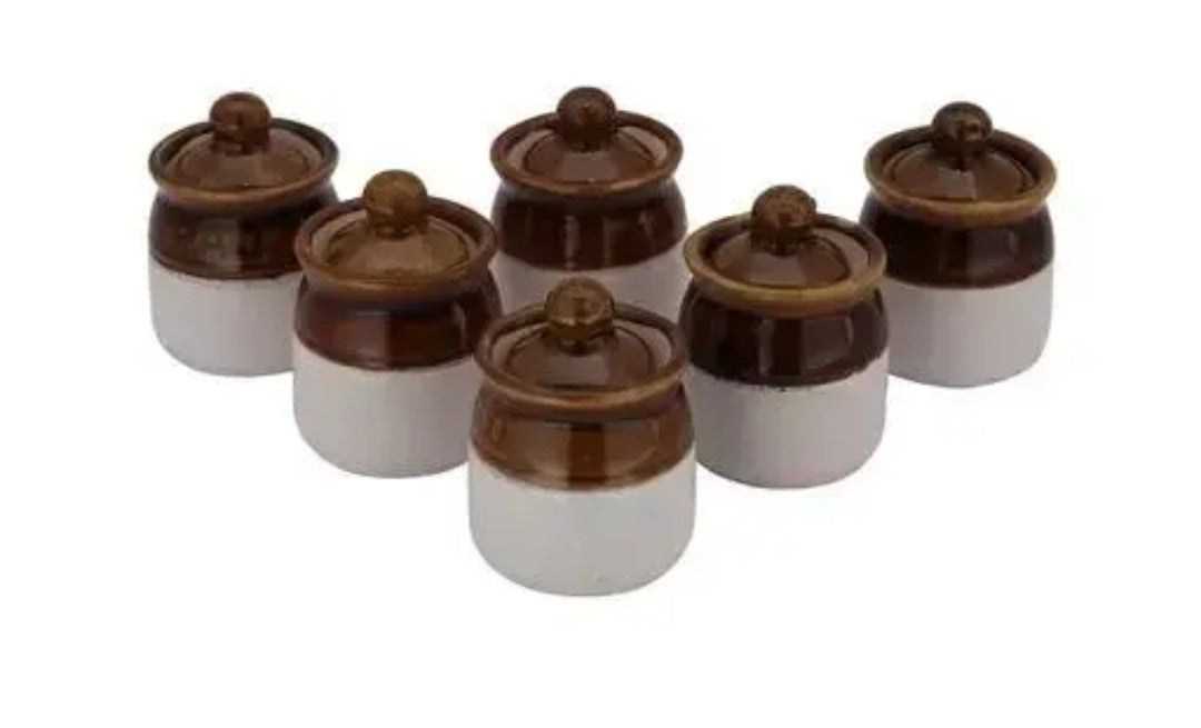 “Pind Vali Pantry” – Hand-Painted Martban Jar Set with Wooden Tray (6 x 200 ml)