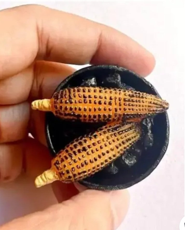 Punjabi Food Fridge Magnets – A Taste of Home on Your Fridge!